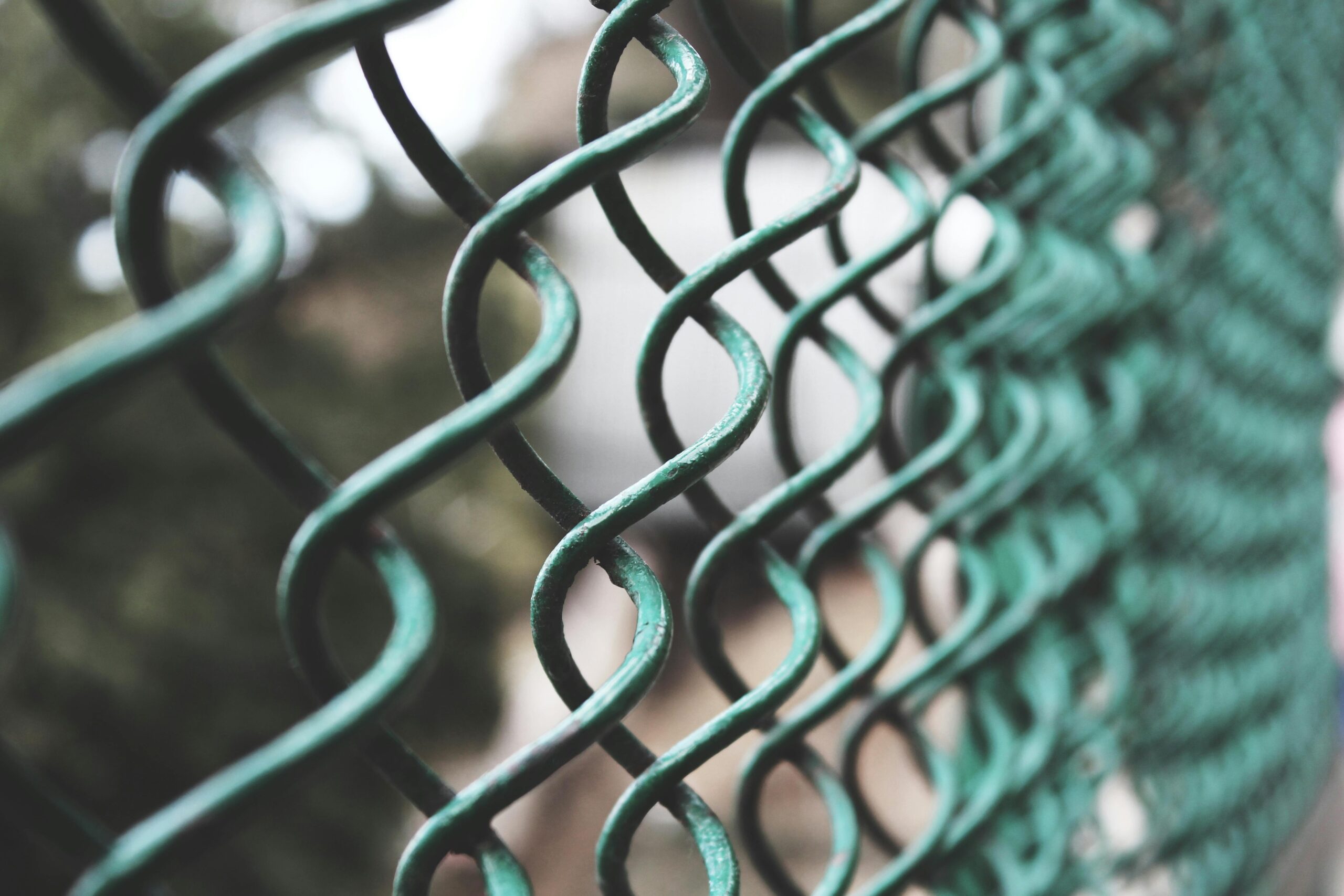 Artistic close-up of a green metallic wire fence, emphasizing pattern and texture.